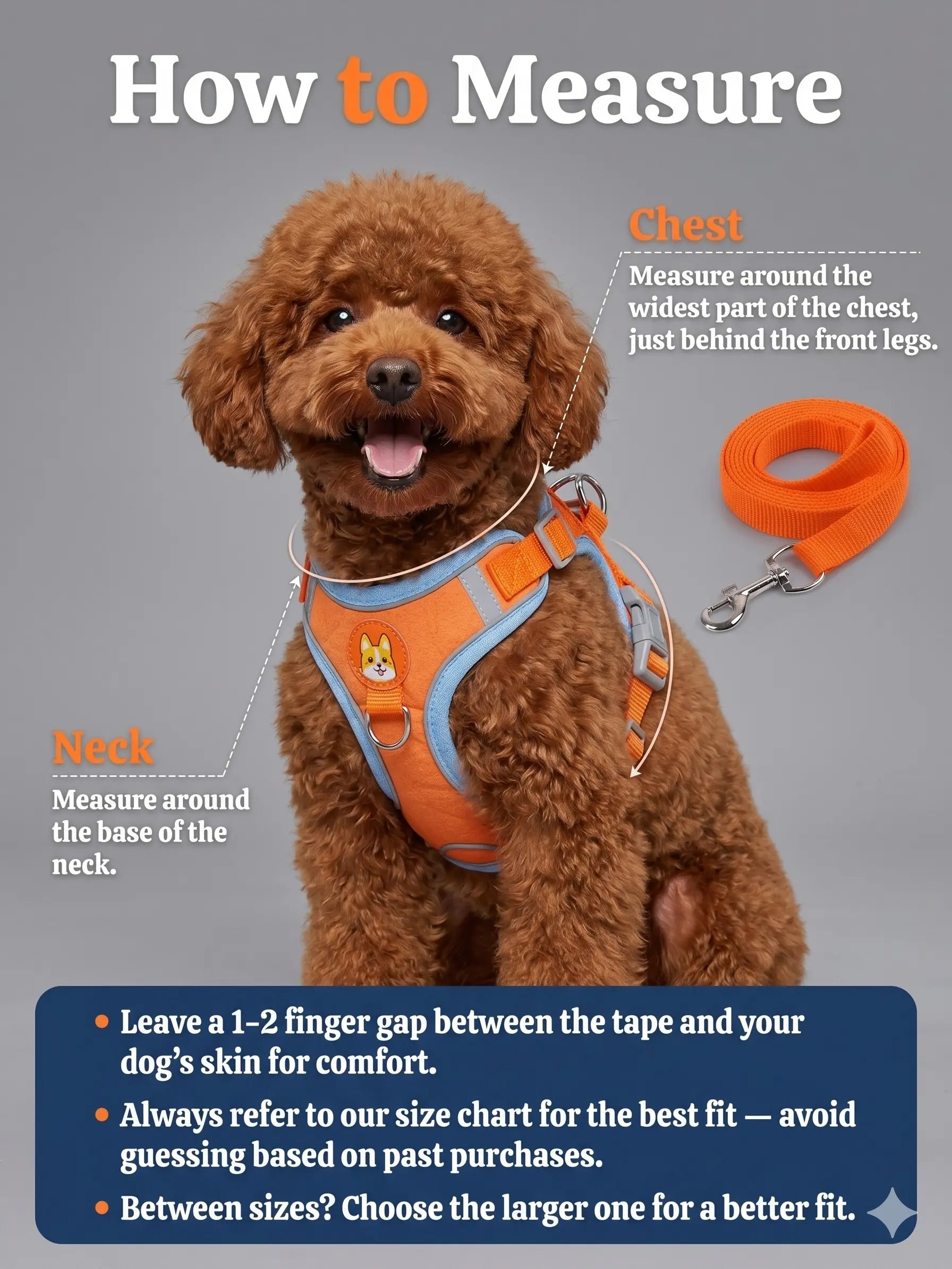 2 Pack Adjustable Pet Harness & Leash Set, Soft Suede Vest, Durable & Reflective, No-Tangle Leash for Easy Walking, Ideal for Daily Walks & Night Outdoor Use