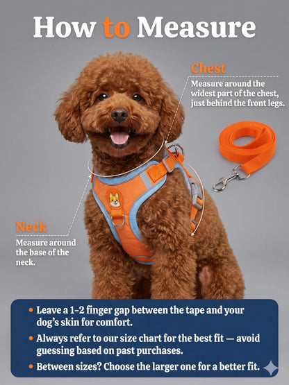 2 Pack Adjustable Pet Harness & Leash Set, Soft Suede Vest, Durable & Reflective, No-Tangle Leash for Easy Walking, Ideal for Daily Walks & Night Outdoor Use