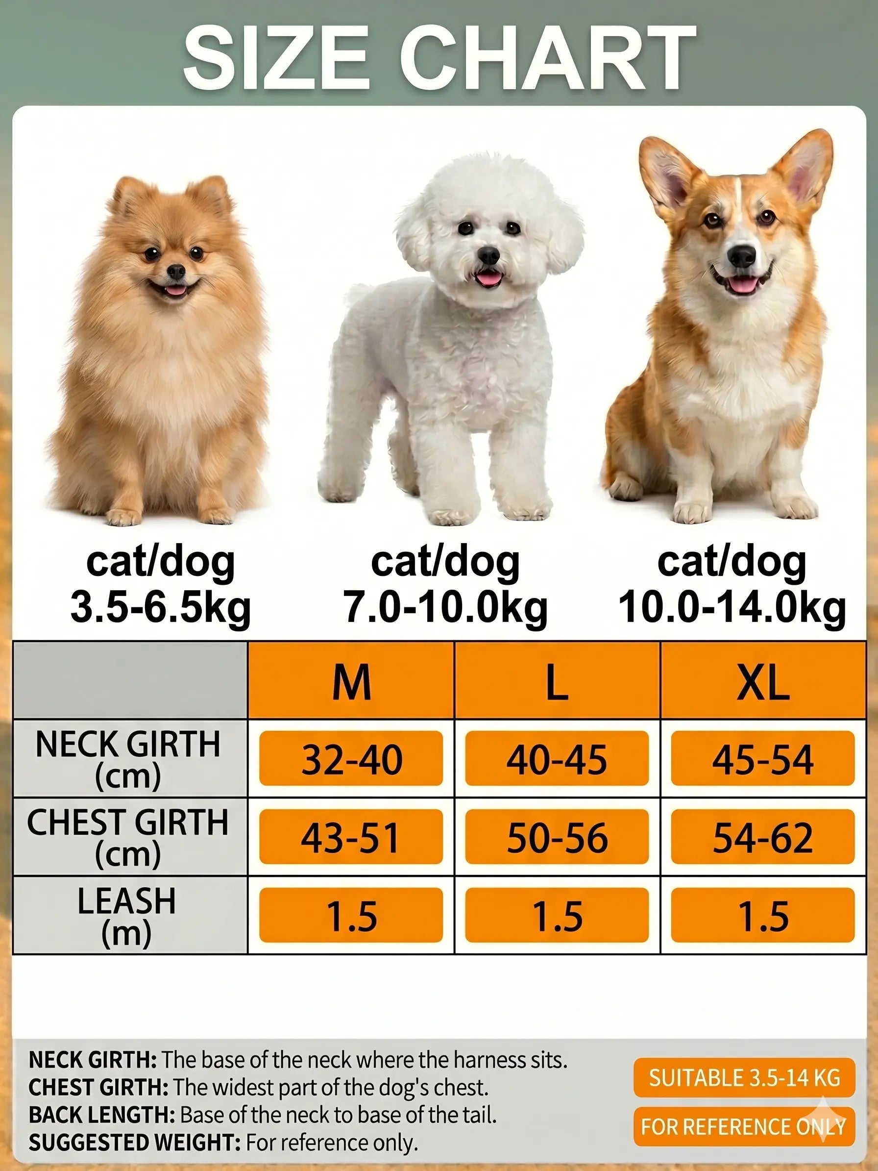 2 Pack Adjustable Pet Harness & Leash Set, Soft Suede Vest, Durable & Reflective, No-Tangle Leash for Easy Walking, Ideal for Daily Walks & Night Outdoor Use